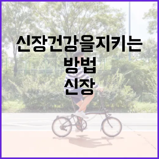 신장 건강을 지키는 음식 선택 방법 - 요약