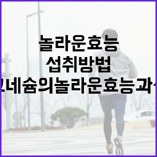 마그네슘의 놀라운 효능과 섭취 방법 - 요약