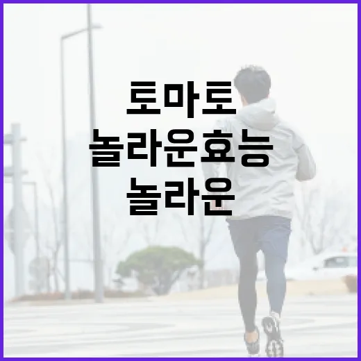 토마토의 놀라운 효능을 알아보는 방법 - 요약