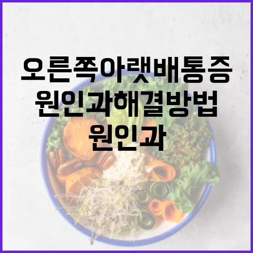 오른쪽 아랫배 통증의 원인과 해결 방법 - 요약