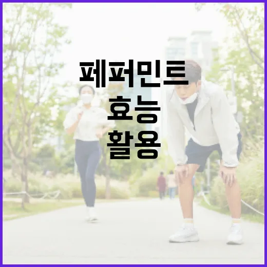 페퍼민트 효능을 최대한 활용하는 방법 - 요약