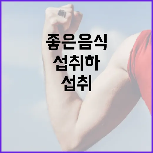 간에 좋은 음식을 섭취하는 방법 - 요약
