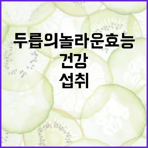두릅의 놀라운 효능과 건강에 좋은 섭취 방법 - 요약