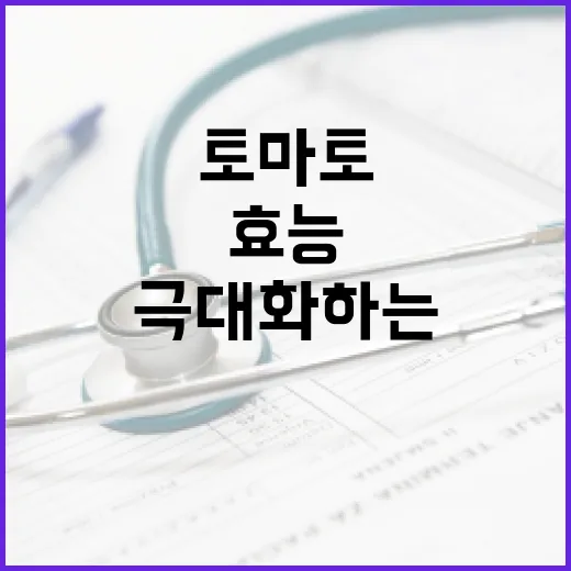 토마토의 효능을 극대화하는 방법 - 요약