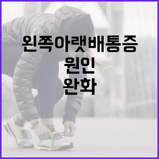 왼쪽 아랫배 통증 완화 방법과 원인 파악하기 - 요약