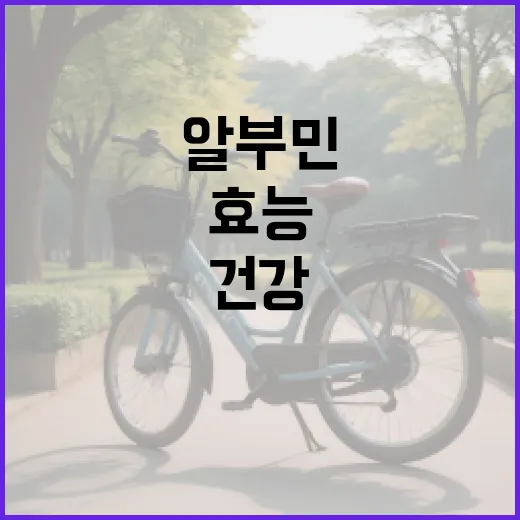 알부민 효능 이해하기: 건강을 위한 필수 가이드 - 요약