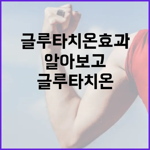 글루타치온 효과에 대해 알아보고 활용하는 방법 - 요약