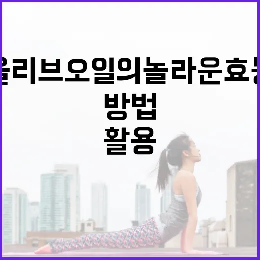 올리브오일의 놀라운 효능을 최대한 활용하는 방법 - 요약