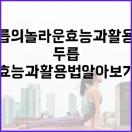 두릅의 놀라운 효능과 활용법 알아보기 - 요약