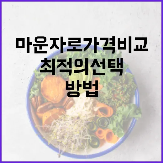 마운자로 가격 비교 및 최적의 선택 방법 - 요약