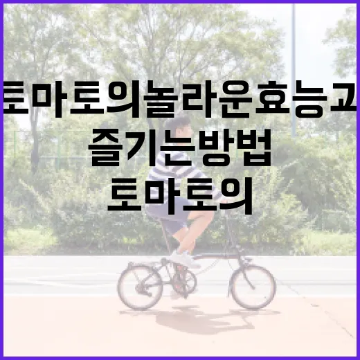 토마토의 놀라운 효능과 건강하게 즐기는 방법 - 요약