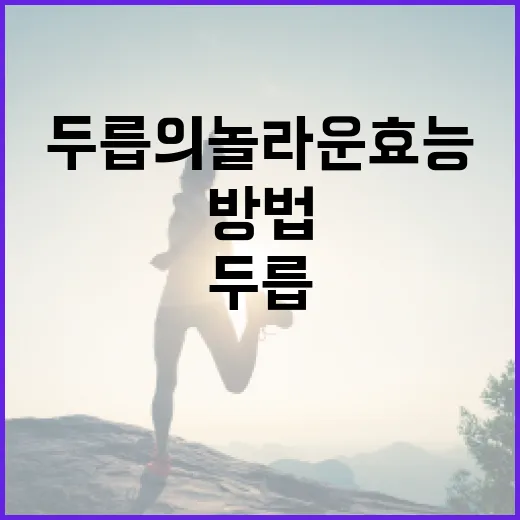 두릅의 놀라운 효능과 활용 방법 - 요약