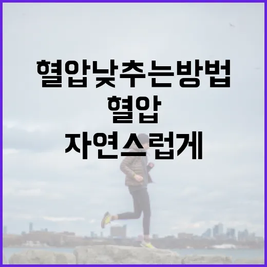 자연스럽게 혈압 낮추는 방법 - 요약
