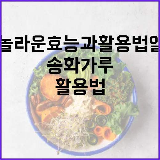 송화가루의 놀라운 효능과 활용법 알아보기 - 요약