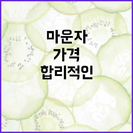 마운자를 합리적인 가격에 구매하는 방법 - 요약