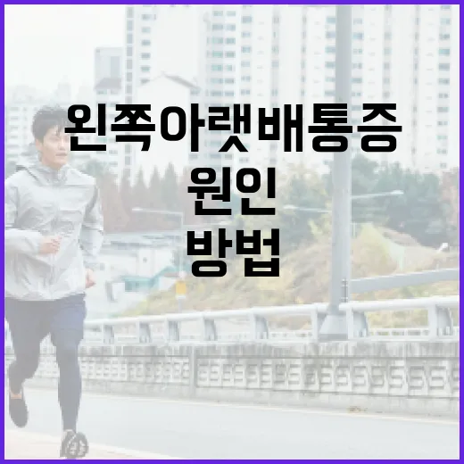 왼쪽 아랫배 통증 완화 방법과 원인 알아보기 - 요약