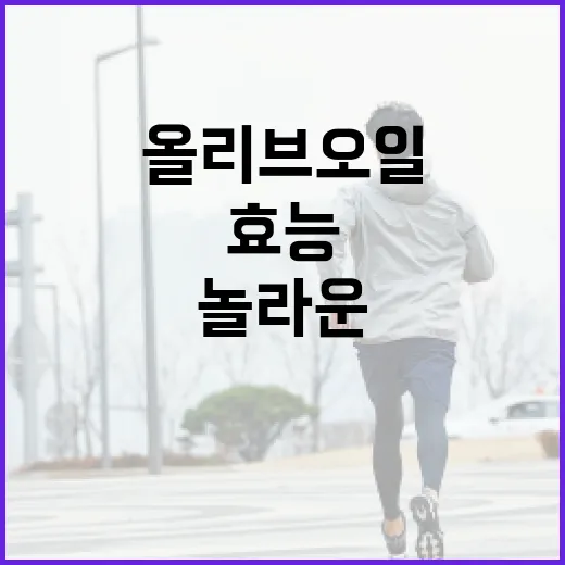 올리브오일의 놀라운 효능을 알아보는 방법 - 요약