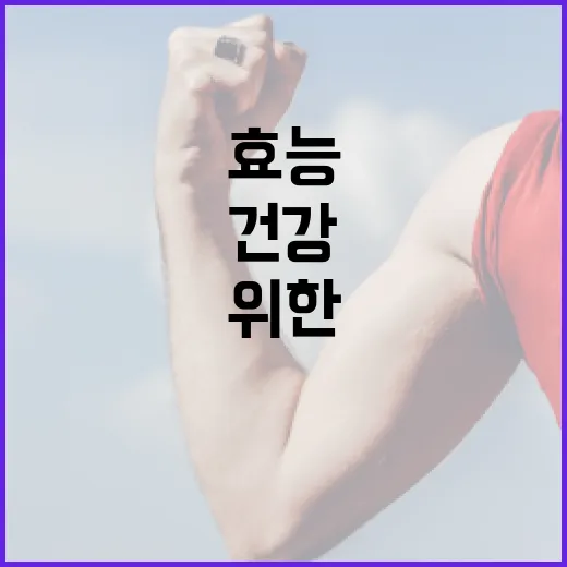 마그네슘의 놀라운 효능과 건강을 위한 활용법 - 요약