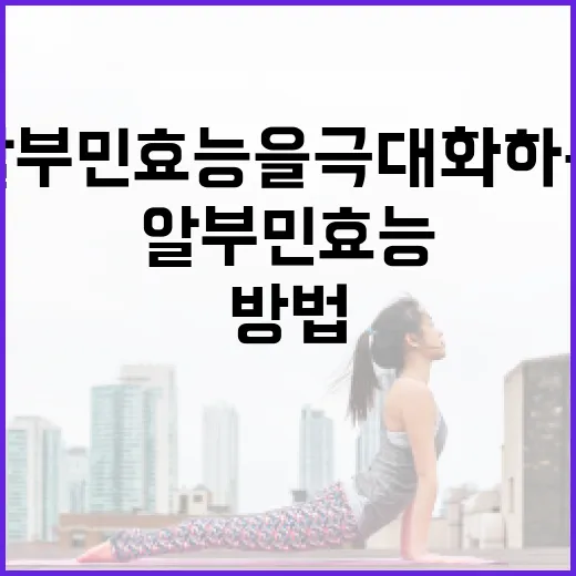 알부민 효능을 극대화하는 방법 - 요약