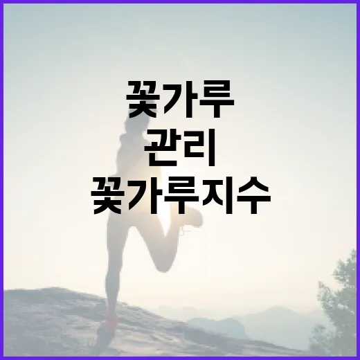 꽃가루지수를 이해하고 관리하는 방법 - 요약