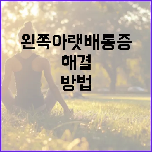 왼쪽 아랫배 통증을 해결하는 방법 - 요약