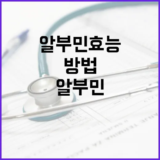 알부민 효능을 최대한 활용하는 방법 - 요약