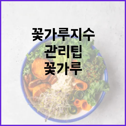 꽃가루지수를 이해하는 방법과 관리 팁 - 요약