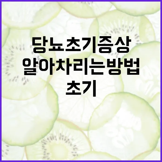 당뇨 초기증상을 알아차리는 방법 - 요약