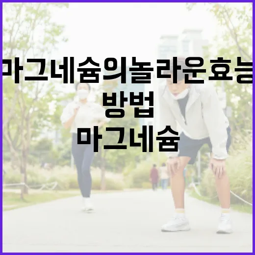 마그네슘의 놀라운 효능을 알아보는 방법 - 요약
