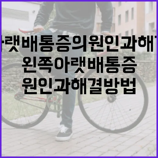 왼쪽 아랫배 통증의 원인과 해결 방법 - 요약