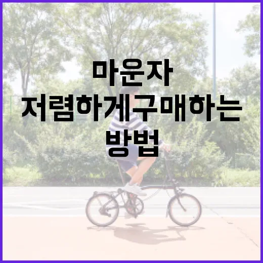 마운자를 저렴하게 구매하는 방법 - 요약