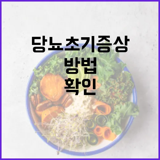 당뇨 초기증상을 확인하는 방법 - 요약