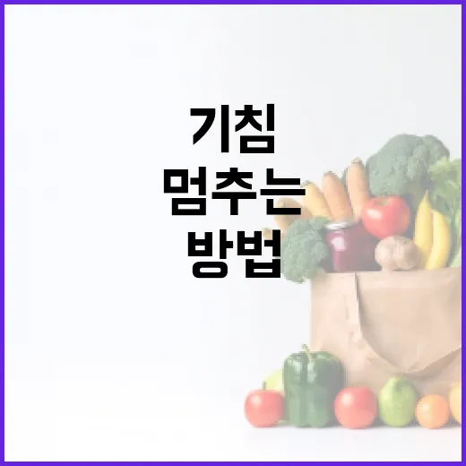 기침을 멈추는 효과적인 방법 - 요약