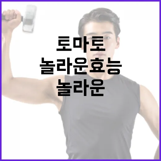 토마토의 놀라운 효능을 알아보는 방법 - 요약