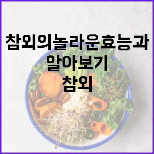 참외의 놀라운 효능과 활용법 알아보기 - 요약