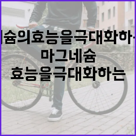 마그네슘의 효능을 극대화하는 방법 - 요약