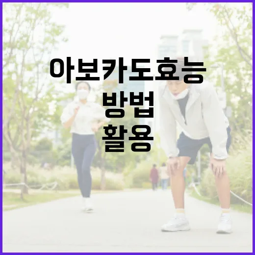 아보카도 효능을 최대한 활용하는 방법 - 요약