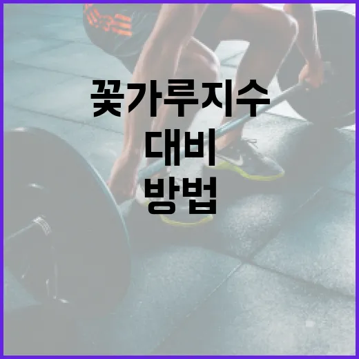 꽃가루지수를 이해하고 대비하는 방법 - 요약