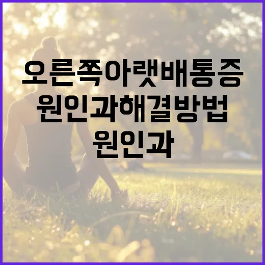 오른쪽 아랫배 통증의 원인과 해결 방법 - 요약
