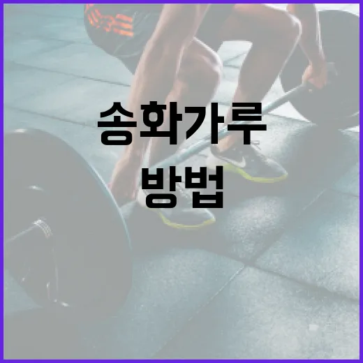 송화가루를 활용하는 방법: 건강과 미용에 좋은 팁 - 요약