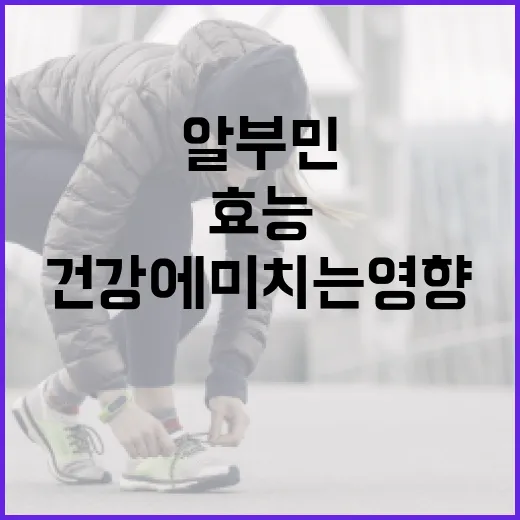알부민의 효능과 건강에 미치는 영향 알아보기 - 요약