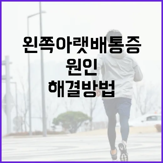 왼쪽 아랫배 통증 해결 방법과 원인 알아보기 - 요약