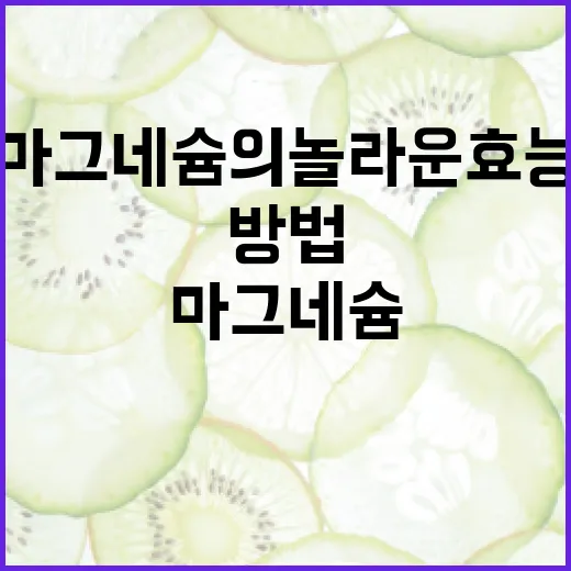 마그네슘의 놀라운 효능을 알아보는 방법 - 요약