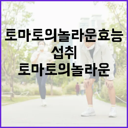 토마토의 놀라운 효능과 섭취 방법 - 요약