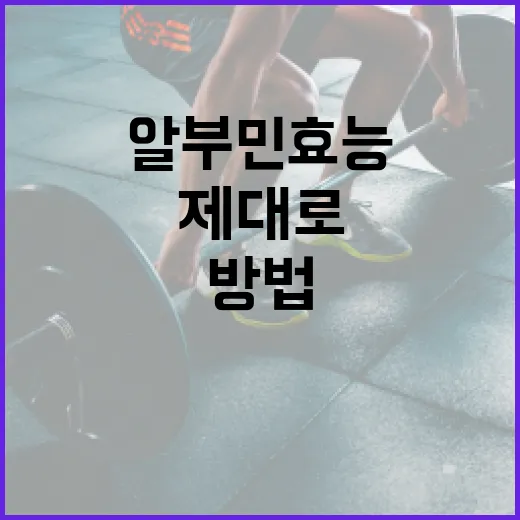 알부민 효능을 제대로 이해하는 방법 - 요약