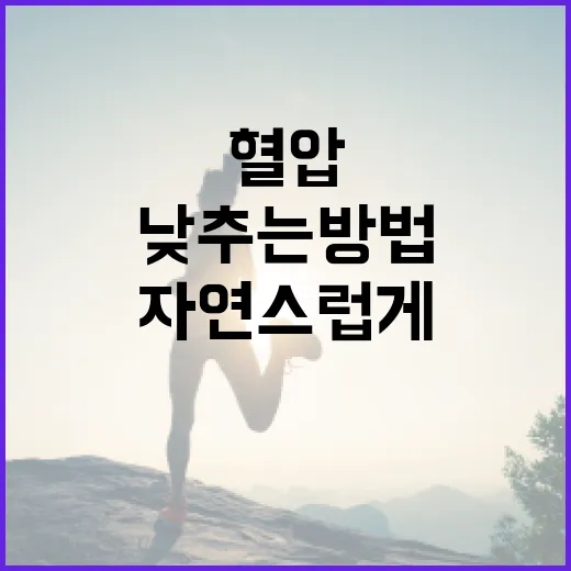자연스럽게 혈압을 낮추는 방법 - 요약