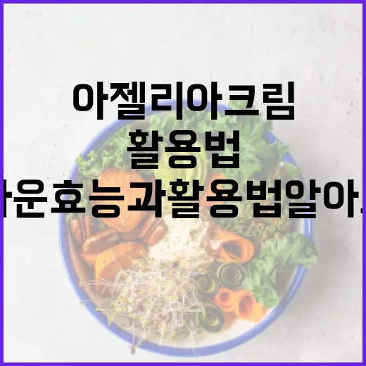아젤리아크림의 놀라운 효능과 활용법 알아보기 - 요약