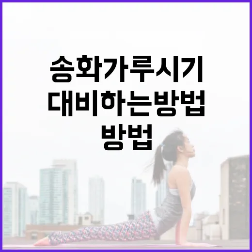 송화가루 시기에 대비하는 방법 - 요약