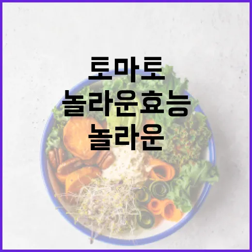 토마토의 놀라운 효능을 알아보는 방법 - 요약
