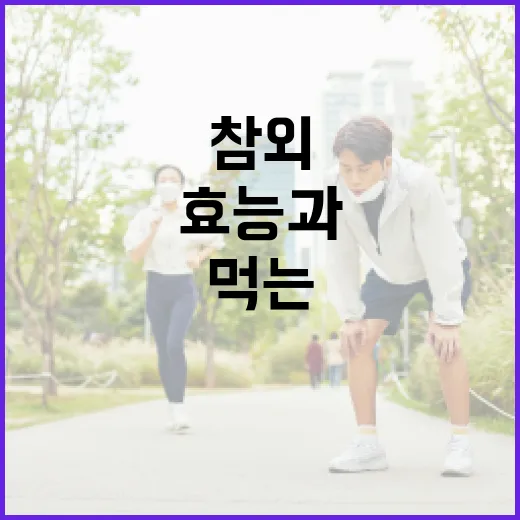 참외의 놀라운 효능과 건강하게 먹는 방법 - 요약